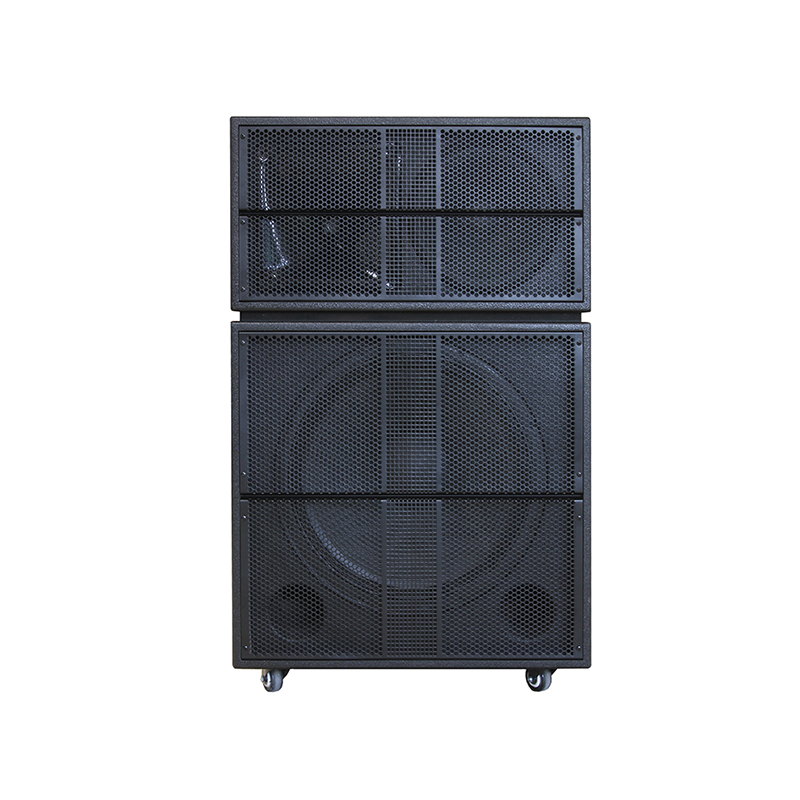 Grand haut-parleur DJ Y-570H